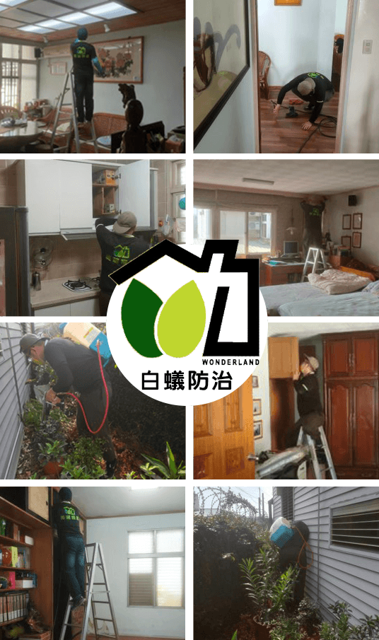 六段式白蟻防治作業工法介紹-2.png